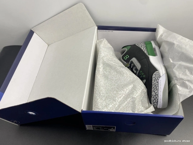 CT8532-030 Green Pine 3 Jordan Air 0813